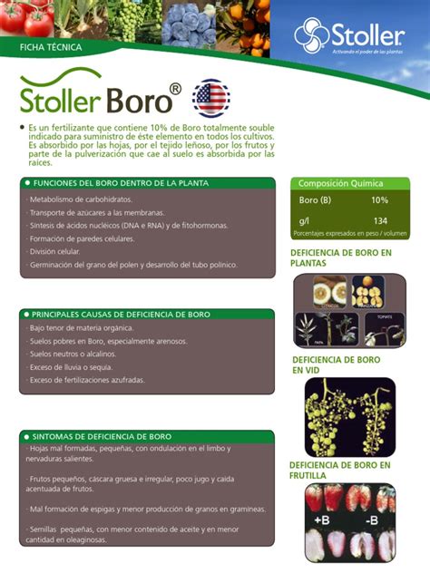 cnpj stoller|bula stoller boro.